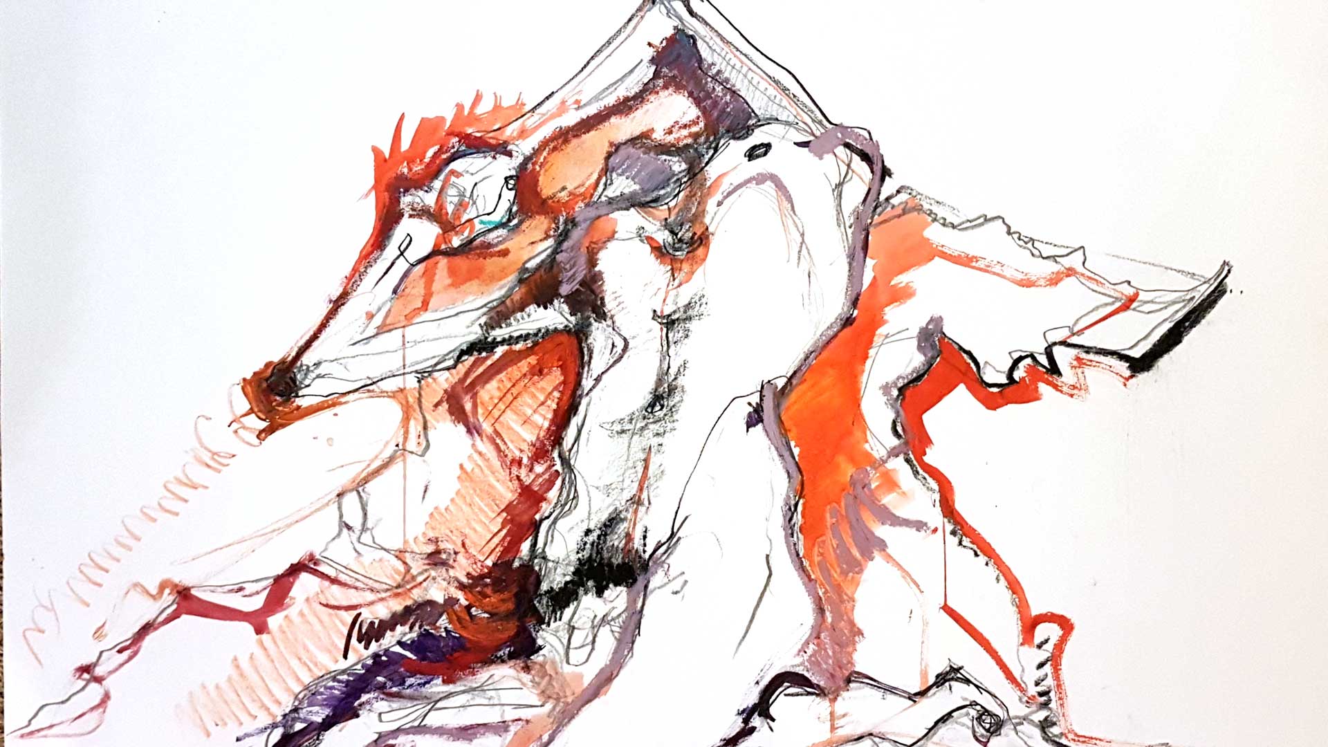 Contactez Désiree de Montebello